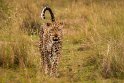 050 Masai Mara